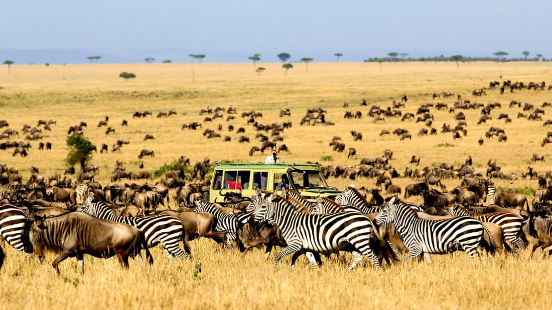 safari in Kenya cu Holiday Tour Mures